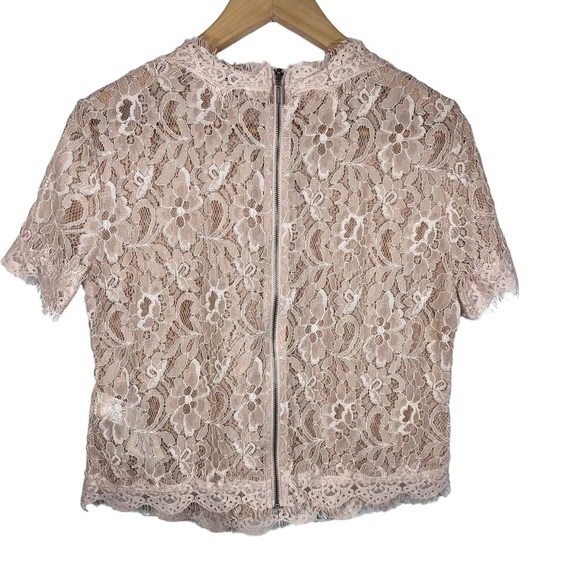 Zara Boho Blush Pink Lace Embroidered Crew Neckline Cropped Top Size Medium - Picture 2 of 6